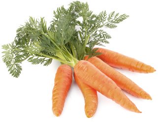 Морковьна белом фоне