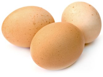 Яйцо куринноена белом фоне