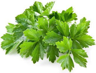 http://edaplus.info/food_pictures/parsley.jpg