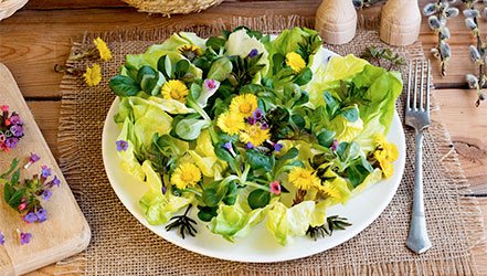 Весенний салат из мать-и-мачехи