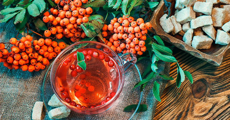 Рябиновые ягоды и сок