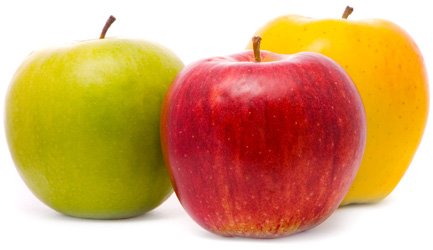 Целебные яблони и яблоки: полезность почек, листьев, цветков и плодов
