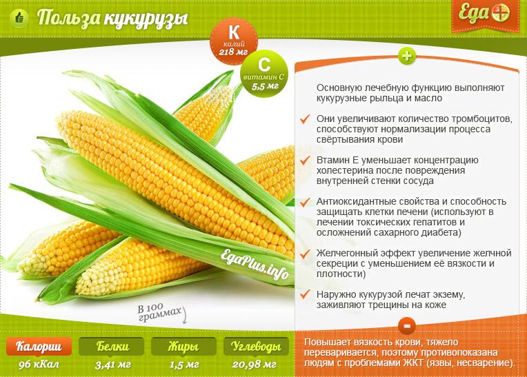 Кукуруза – полезные свойства, состав и противопоказания