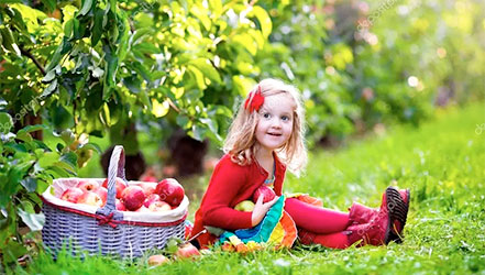 Лесные яблоки в корзине и маленькая девочка