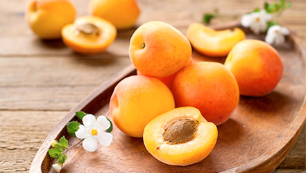apricot fresh