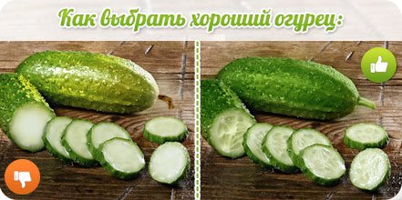 cucumber choose