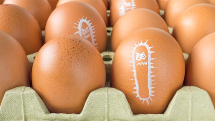 Яйца с сальмонеллёзом