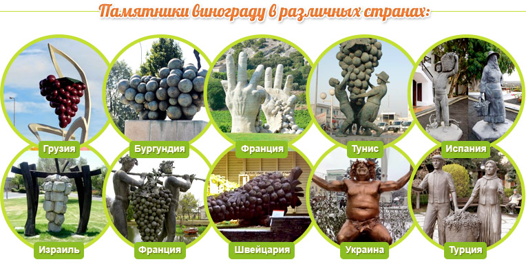 Памятники винограду в различных странах