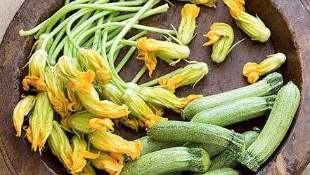 5 полезных свойств кабачка и его витаминный состав
