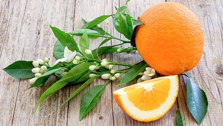 Апельсиновый плод, листья и цвет
