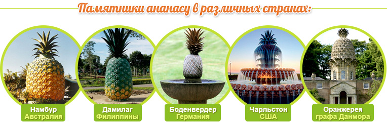 Памятники ананасу в различных странах
