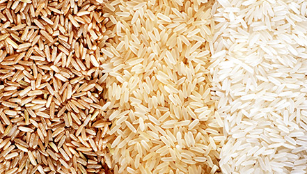 Виды риса