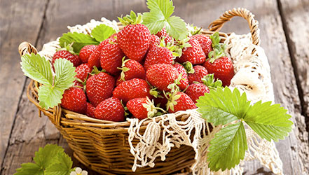 strawberries basket