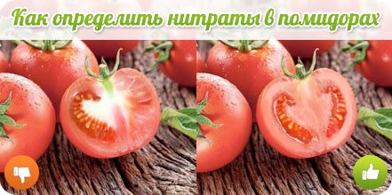 Как определить нитраты в помидоре