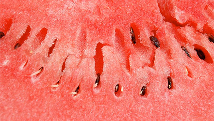 watermelon pulp