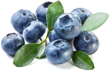 http://edaplus.info/food_pictures/blueberry.jpg