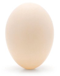 Вес утиного яйца. Яйцо утиное
