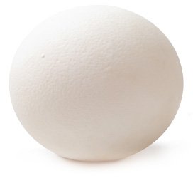 Яйцо страусиное