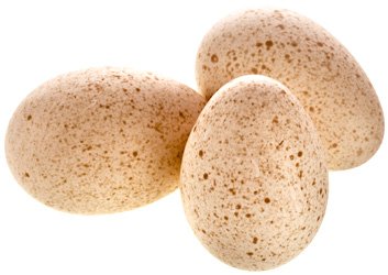 turkey eggs
