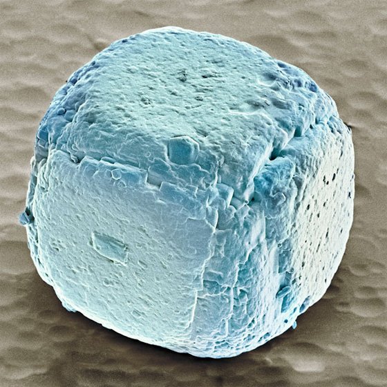 Кристалл соли под микроскопом