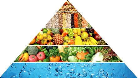 Пищевая пирамида вегетарианца