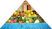 Вегетарианская пищевая пирамида
