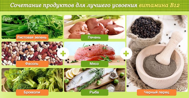 Сочетание продуктов для лучшего усвоения витамина В12