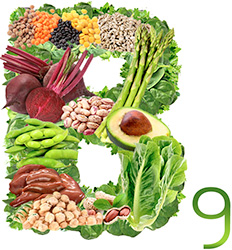 Буква В9 из продуктов богатых витамином B9